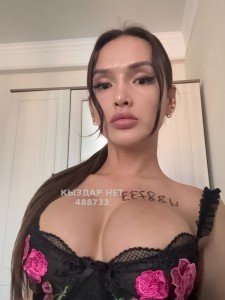 Транс Алматы Анкета №488733 Фотография №3725142
