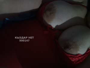 Проститутка Павлодара Девушка№500147 Амина Фотография №3761510
