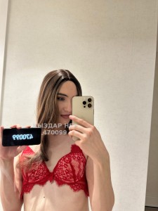 Транс Алматы Транс№470099 Альфия Не надолго Фотография №3568103