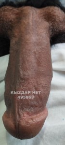 Жиголо Тараза Парень№495863 Ardak Фотография №3738818
