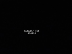 Жиголо Шымкента Парень№496496 Серик Фотография №3746967